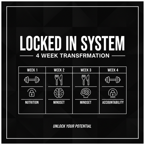 LOCKED IN SYSTEM produktbilde